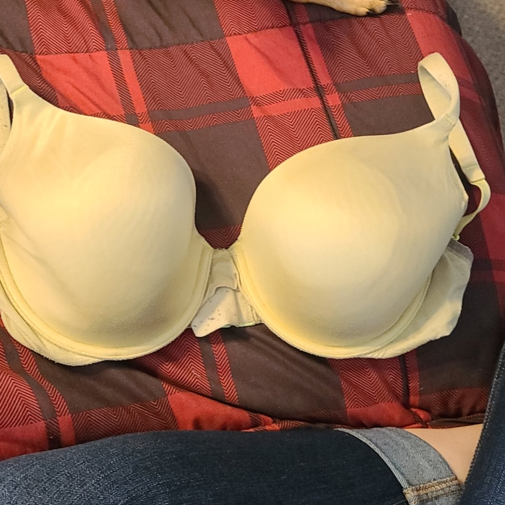 Women's bra